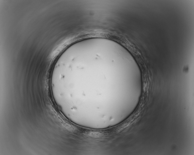 X0000115690341200912031447