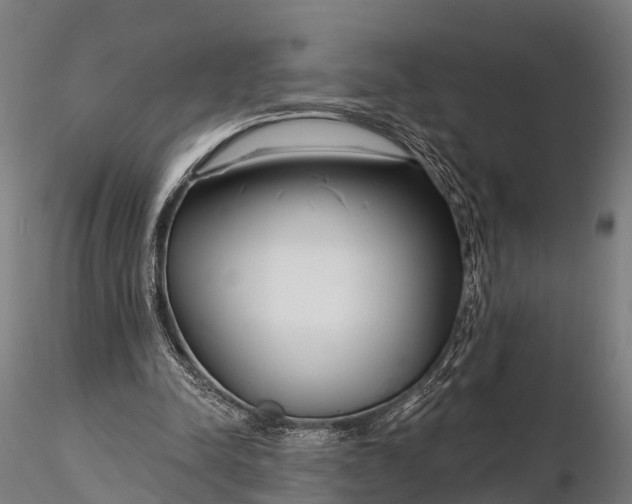 X0000115690342200912031448