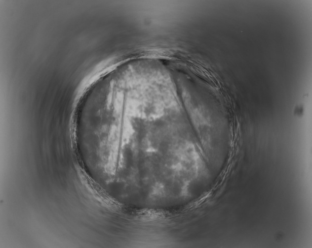 X0000115690343200912031448