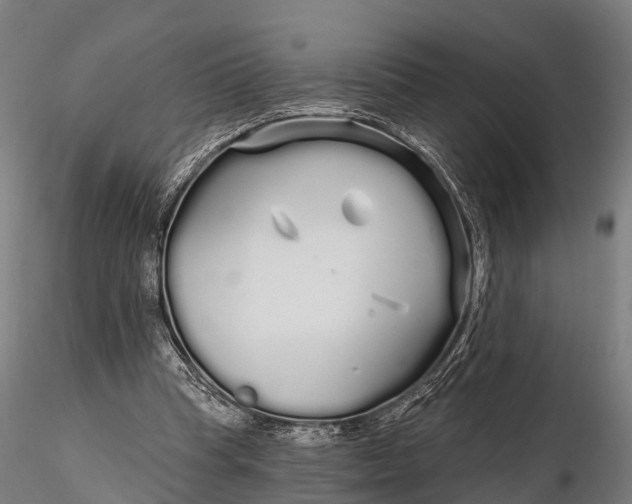 X0000115690345200912031448