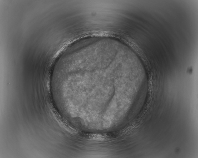 X0000115690347200912031448