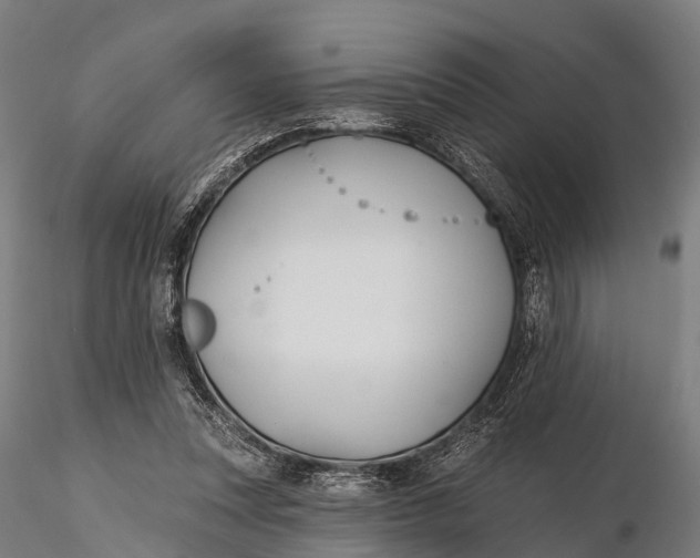 X0000115690351200912031448