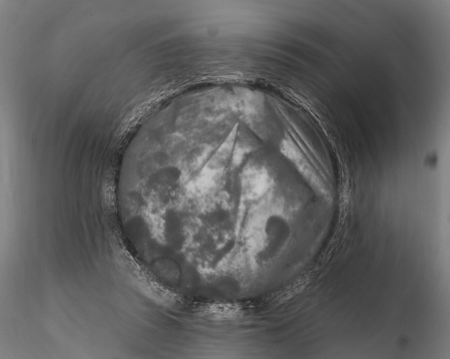 X0000115690353200912031448