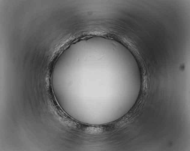 X0000115690354200912031448