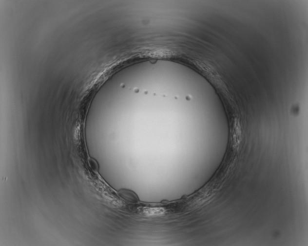 X0000115690355200912031448