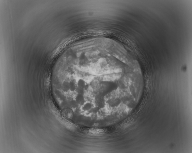 X0000115690357200912031448