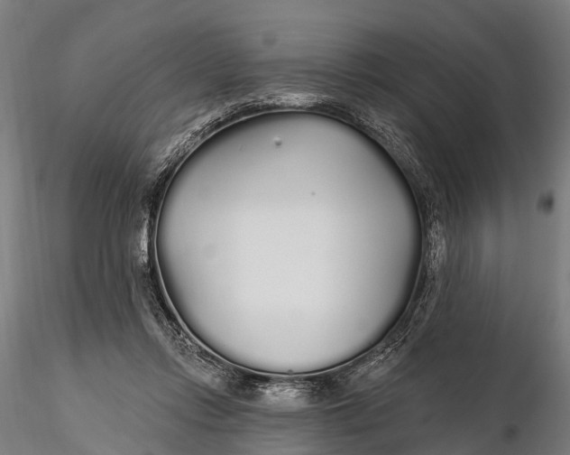 X0000115690358200912031448