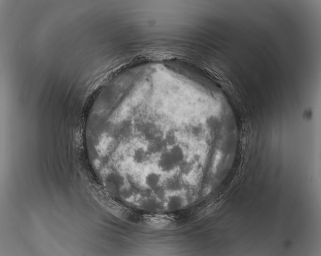 X0000115690359200912031448