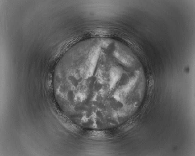 X0000115690361200912031448