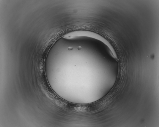 X0000115690362200912031448