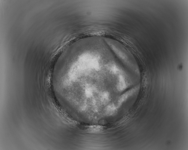 X0000115690363200912031448