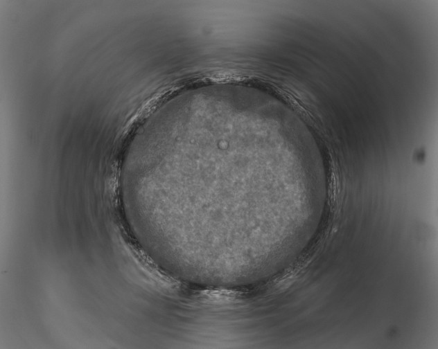 X0000115690367200912031448