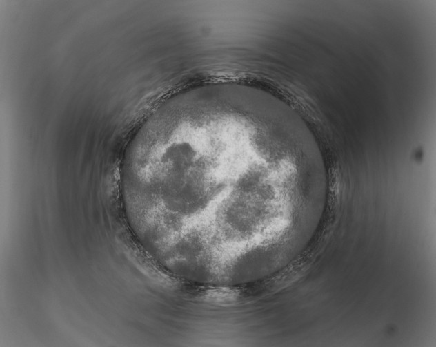 X0000115690369200912031448