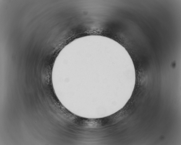 X0000115690370200912031448