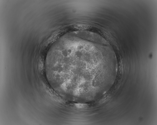 X0000115690371200912031448