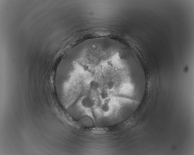 X0000115690373200912031448