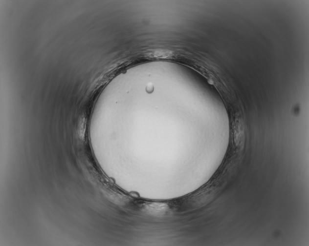 X0000115690374200912031448