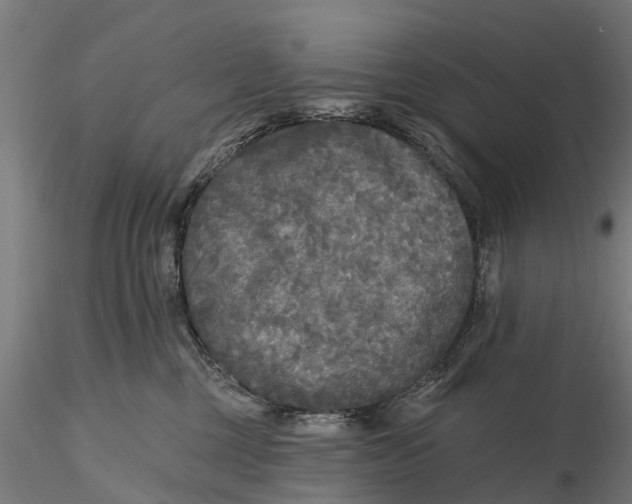 X0000115690377200912031448