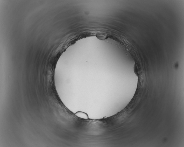 X0000115690379200912031448