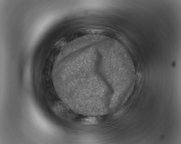 X0000115690381200912031448