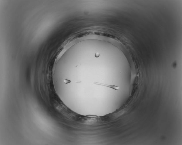 X0000115690382200912031448