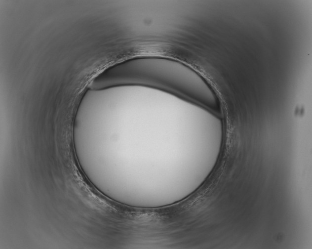 X0000115690385200912031447