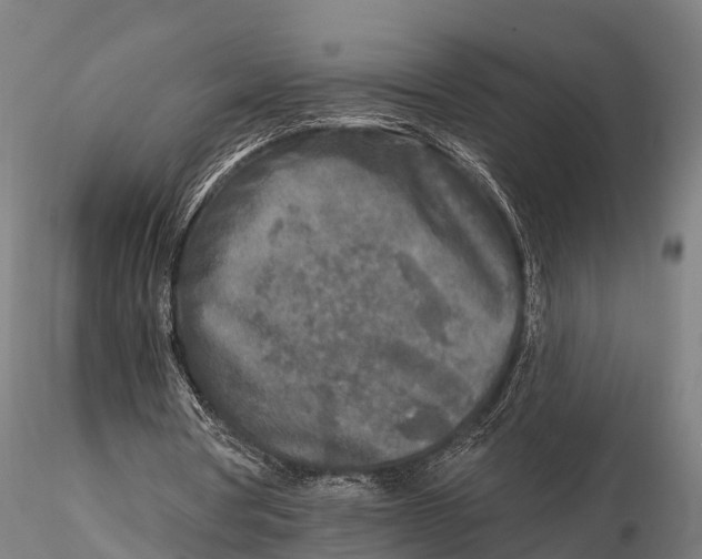 X0000115690386200912031447