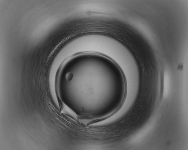 X0000115690387200912031447