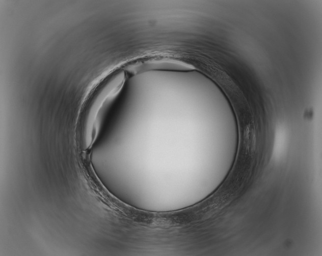 X0000115690388200912031447