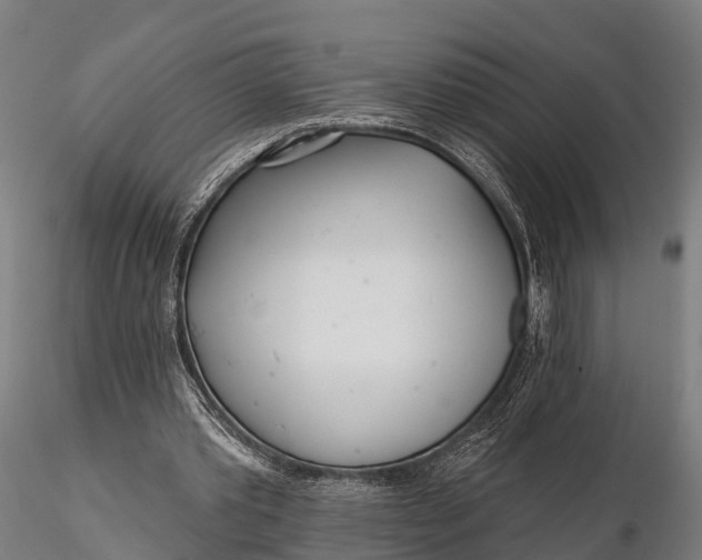 X0000115690389200912031447