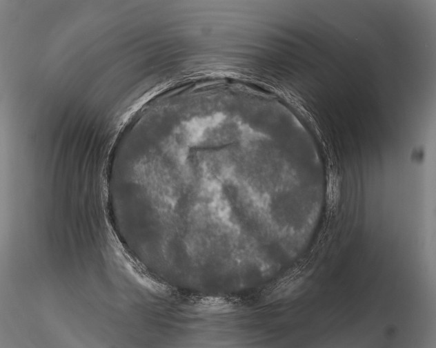 X0000115690390200912031447