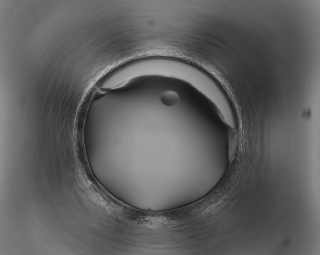 X0000115690391200912031447