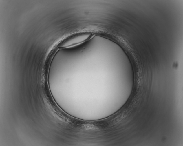 X0000115690392200912031447