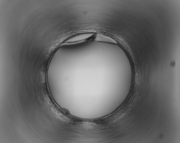 X0000115690393200912031447