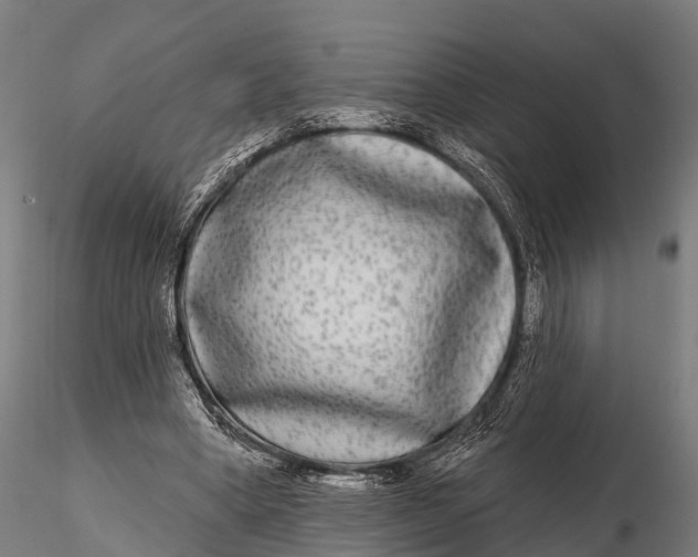 X0000115690394200912031447