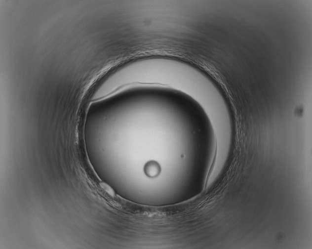 X0000115690395200912031447