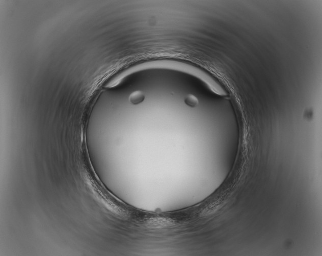 X0000115690397200912031447