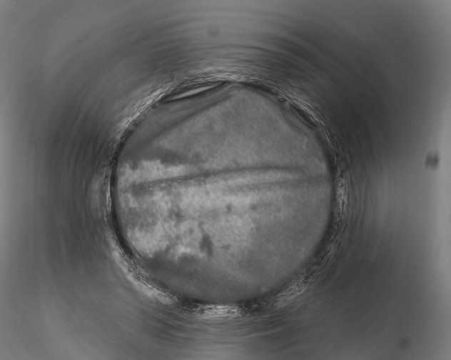 X0000115690398200912031447