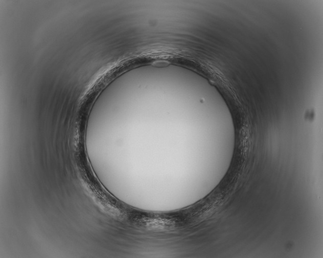 X0000115690400200912031447