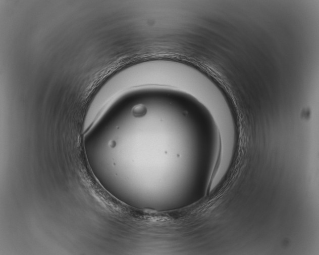 X0000115690401200912031447