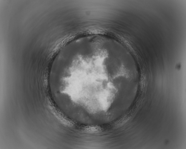 X0000115690402200912031447