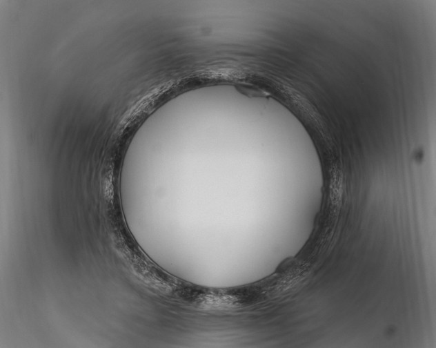 X0000115690403200912031447