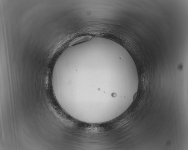 X0000115690404200912031447