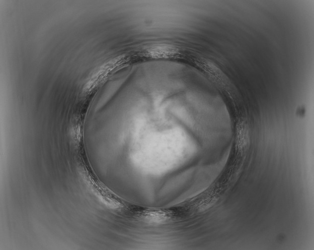 X0000115690405200912031447