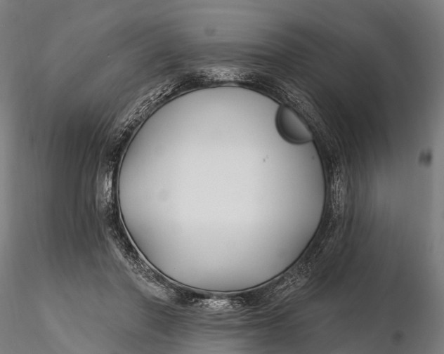 X0000115690406200912031447