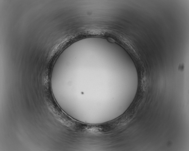 X0000115690407200912031447