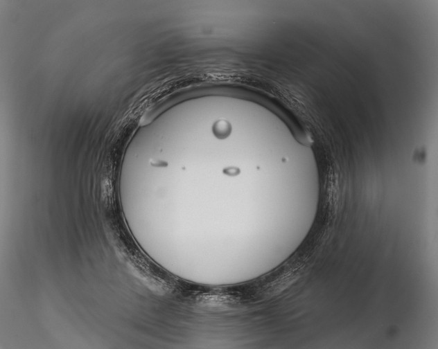 X0000115690408200912031447