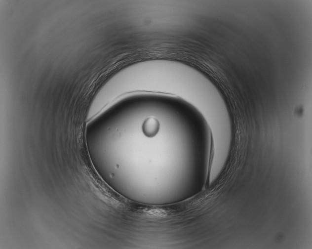 X0000115690409200912031447