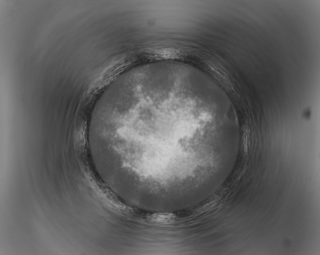 X0000115690410200912031447