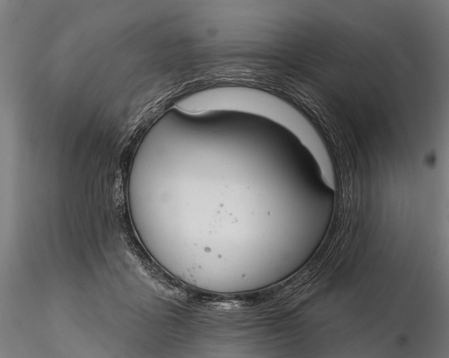 X0000115690411200912031447